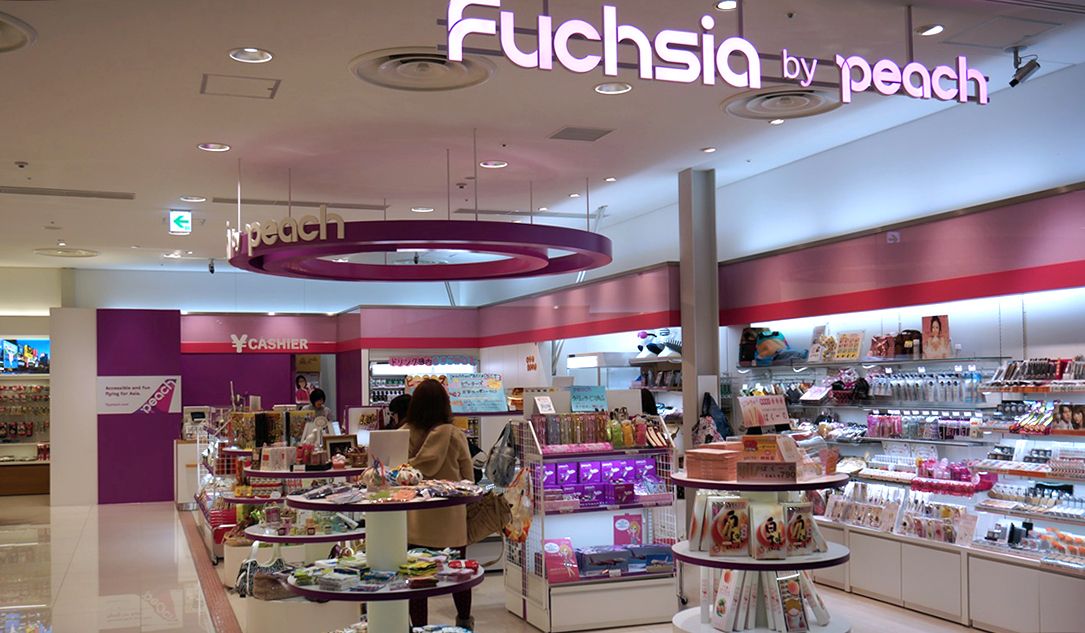 Japanese low-cost airline accepts bitcoins for services